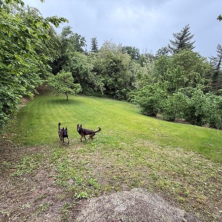Bnb Dog And Friend Rocchetta Tanaro Exterior photo